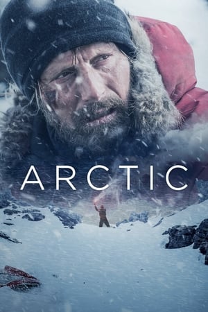 Nonton Film Arctic (2018) Terbaru Nonton Film Arctic (2018) Terbaru