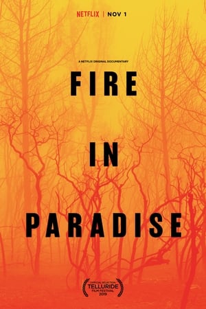 Nonton Film Fire in Paradise (2019) Terbaru Nonton Film Fire in Paradise (2019) Terbaru
