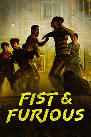 Nonton Film Fist & Furious (2019) Terbaru