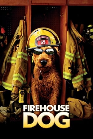 Nonton Film Firehouse Dog (2007) Terbaru