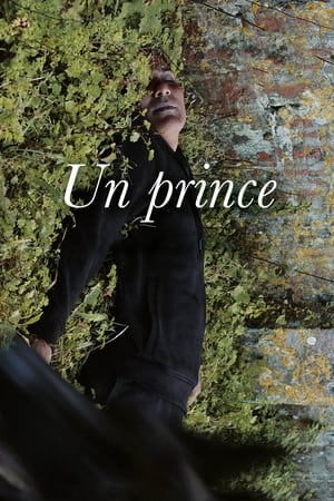 Nonton Film A Prince (2023) Terbaru