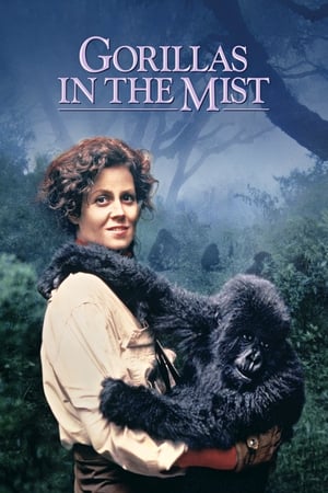 Nonton Film Gorillas in the Mist- The Story of Dian Fossey (1988) Terbaru Nonton Film Gorillas in the Mist- The Story of Dian Fossey (1988) Terbaru
